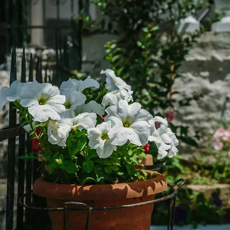 Apartmán Athina